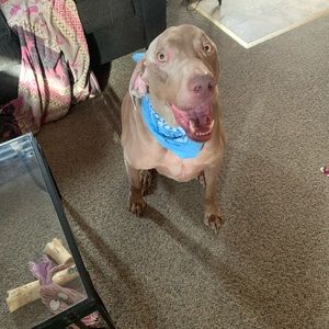 Meet your Posher, Hinata